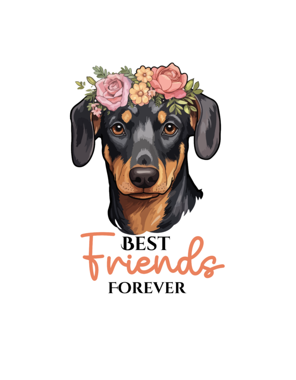 Hunde 20