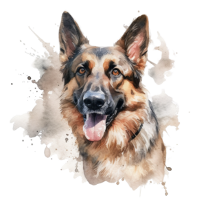 Lustige Tiere 19