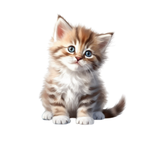 Lustige20Tiere2021.png Lustige Tiere 21