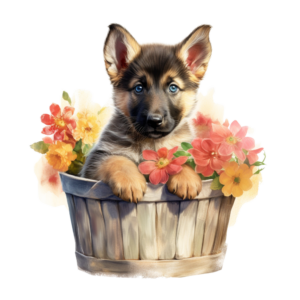 Lustige20Tiere2040.png Lustige Tiere 40
