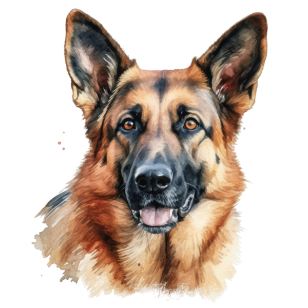 Lustige Tiere 6