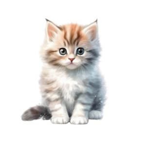 Lustige20Tiere2060.png Lustige Tiere 60