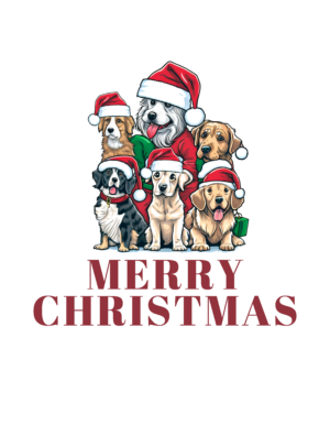 Weihnachten 31