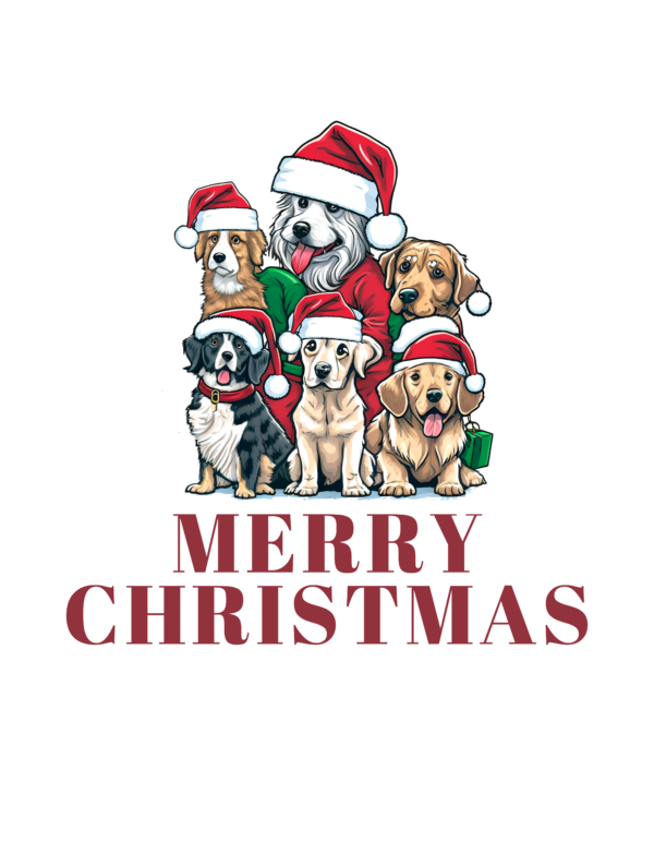 Weihnachten 31